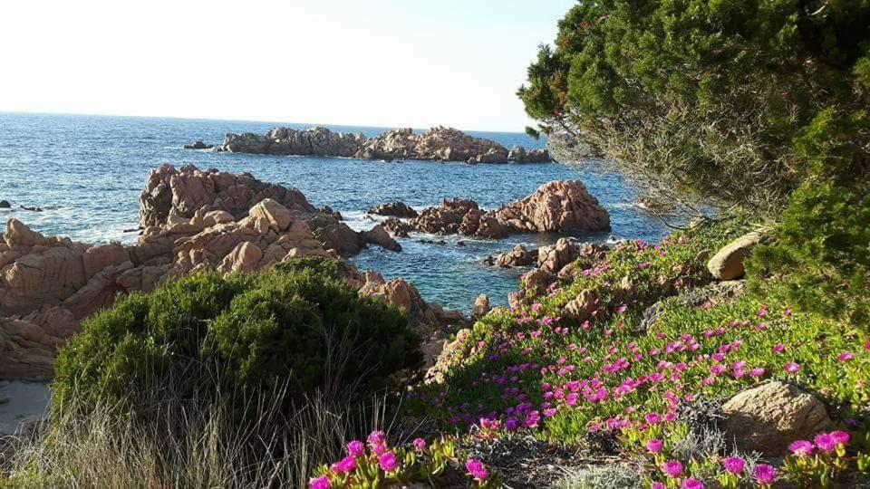 Casa Vacanze Villa Sandrina Costa Paradiso Kültér fotó