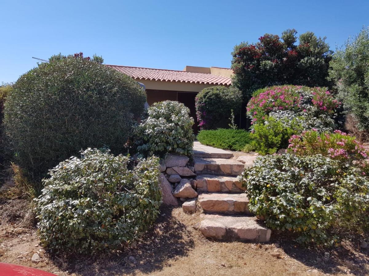 Casa Vacanze Villa Sandrina Costa Paradiso Kültér fotó