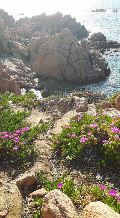 Casa Vacanze Villa Sandrina Costa Paradiso Kültér fotó