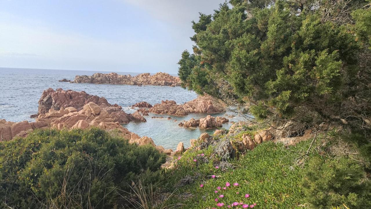 Casa Vacanze Villa Sandrina Costa Paradiso Kültér fotó